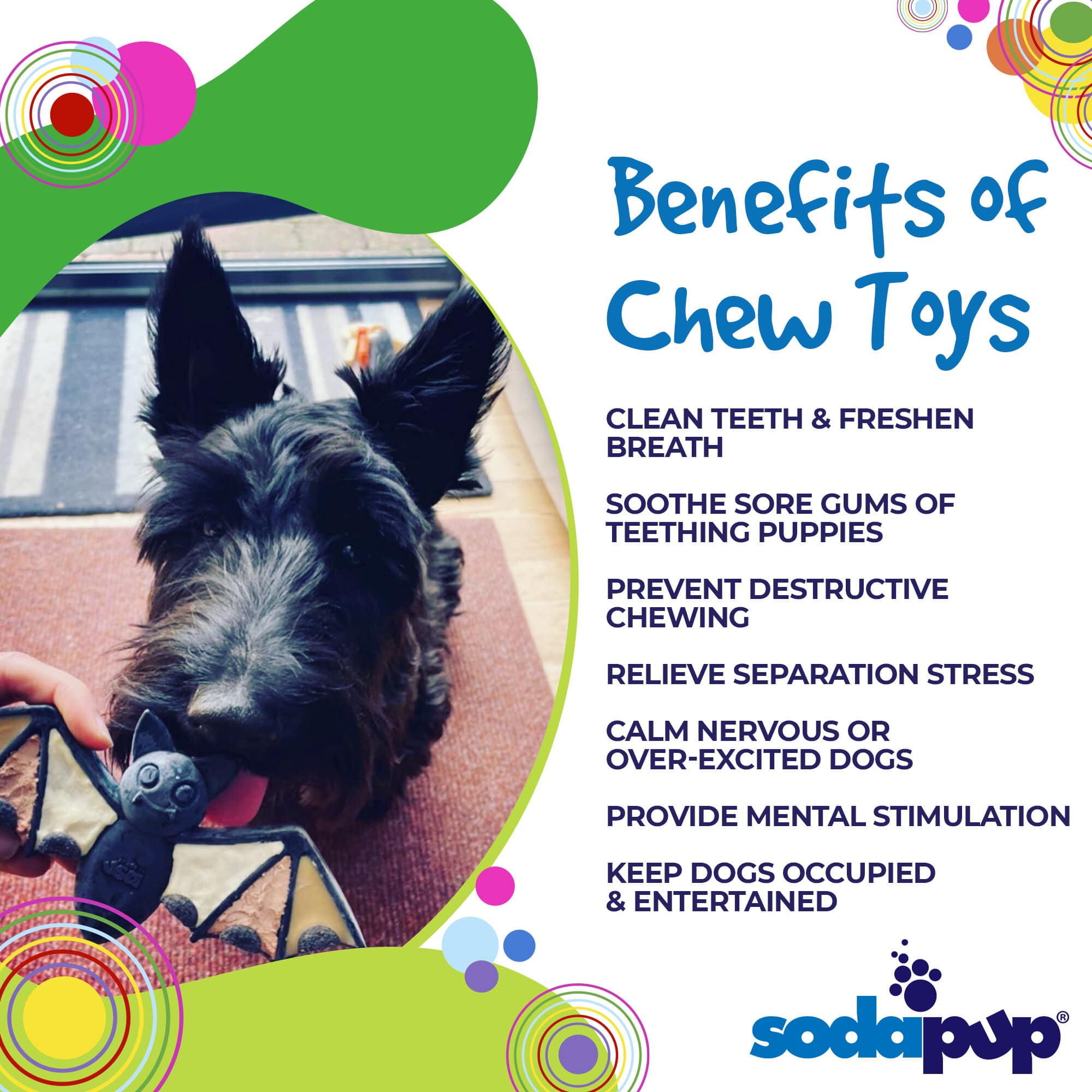 Vampire Bat Nylon Dog Chew Toy for Aggressive Chewers | USA Made & FDA Compliant