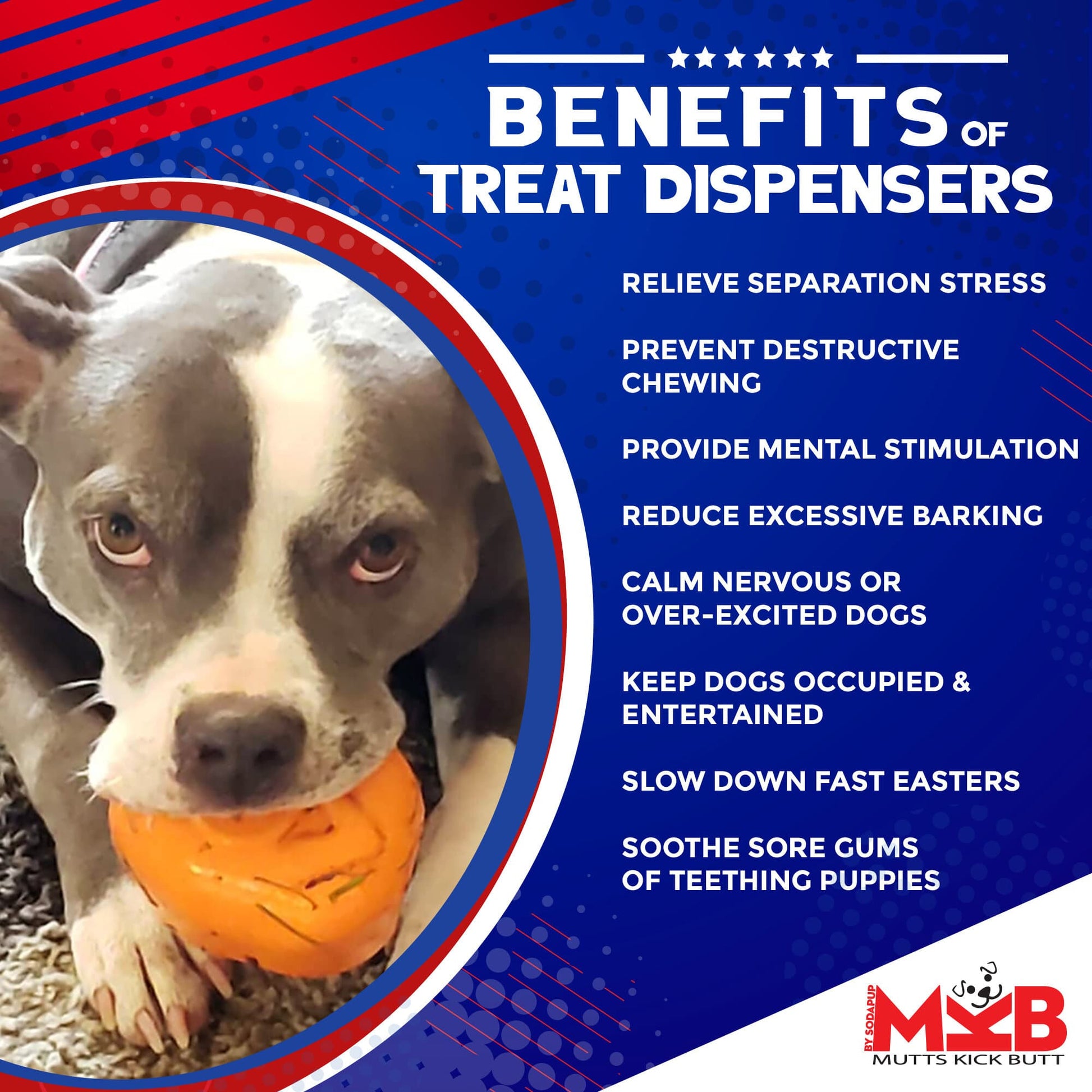 Roasted Turkey Dog Chew Toy & Treat Dispenser - USA Made | SodaPup