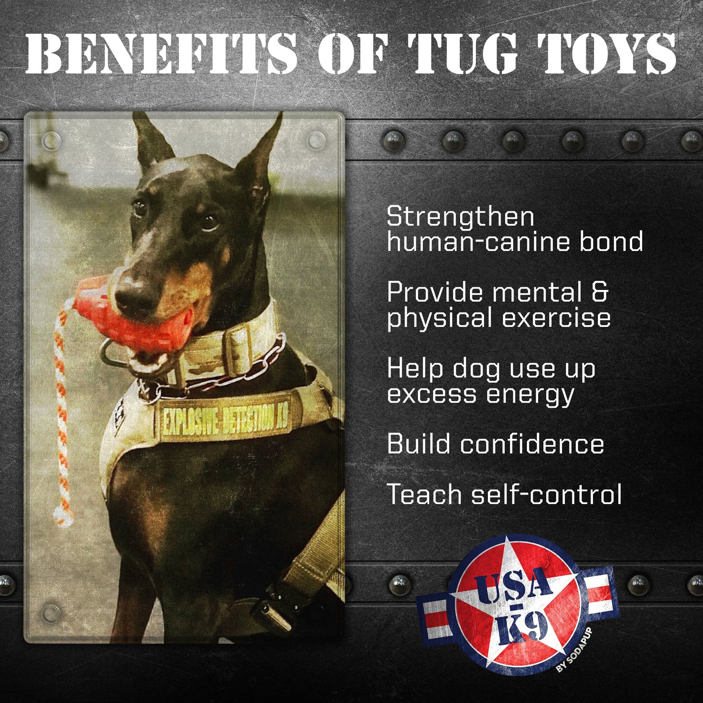 USA-K9 Grenade Rubber Dog Chew Toy | K9 Handler Reward Toy | Blue | USA Made