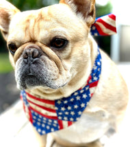 USA Dog Bandana