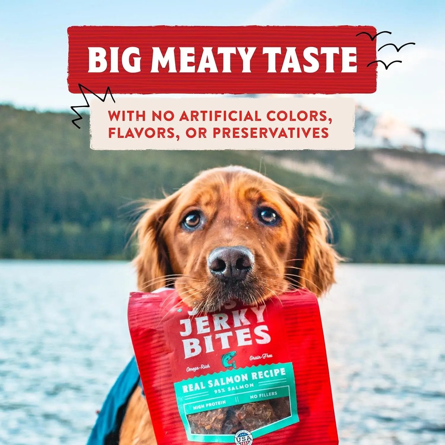 Premium Beef Jerky Dog Treats - 95% Real Meat Bites for Sensitive Stomachs - Natural Limited Ingredient Treats for Small and Large Dogs - No Grain, Wheat or Soy - 6 Oz Bag