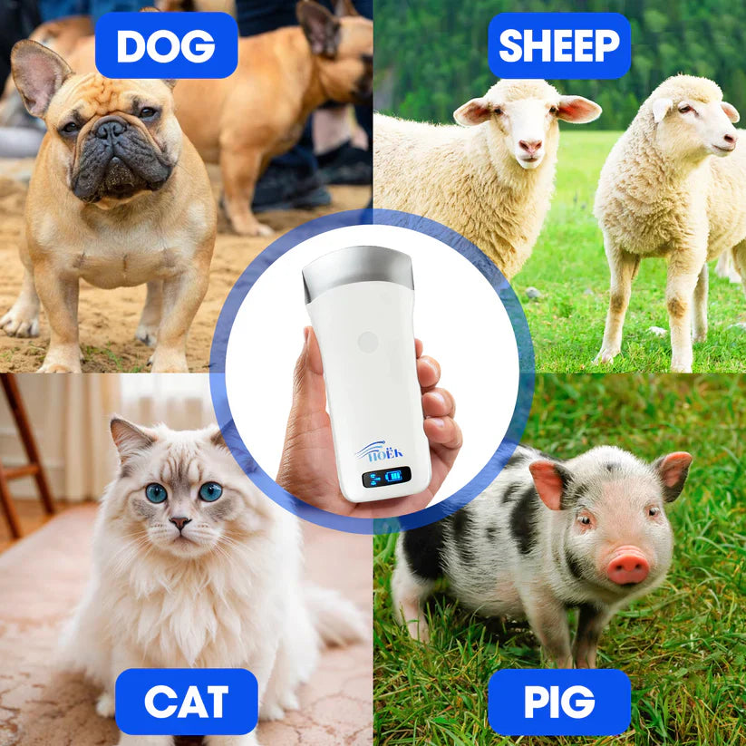Traveler Lite 250 Wireless Ultrasound Scanner Horizon Animal Care