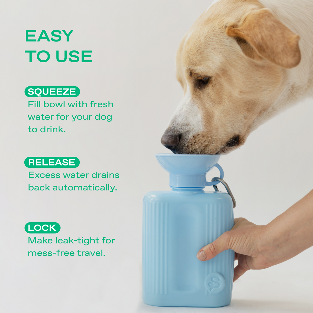 44oz Original Travel Dog Water Bottle