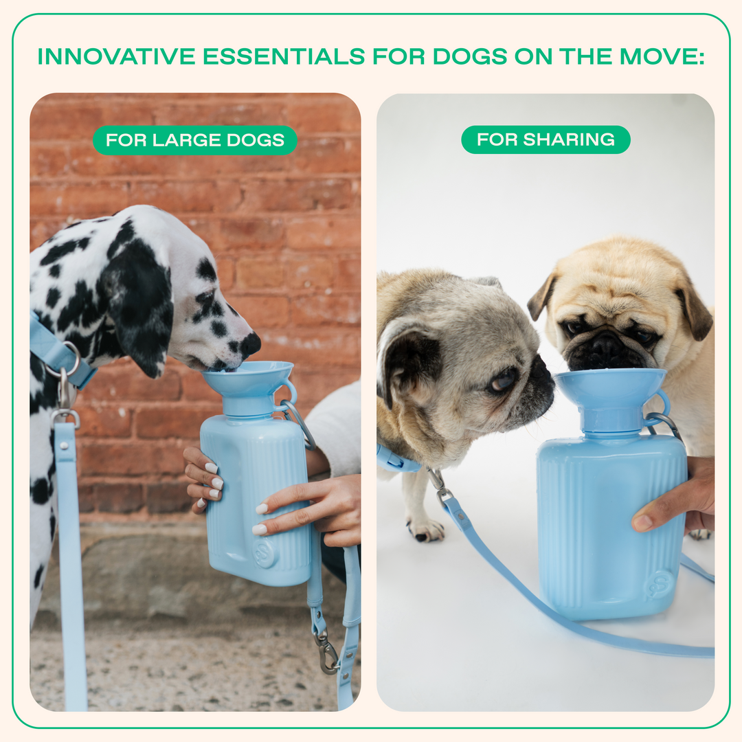 44oz Original Travel Dog Water Bottle