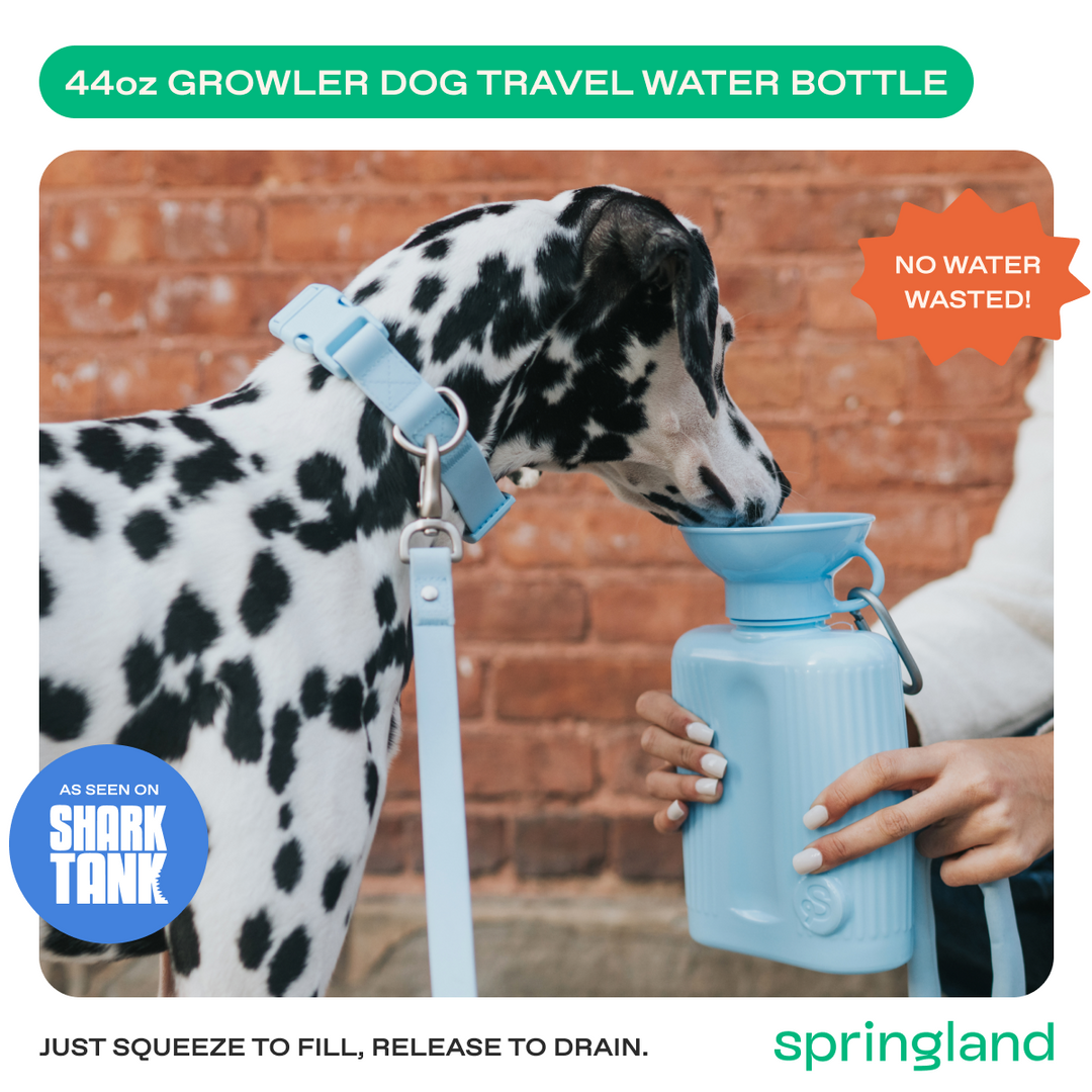 44oz Original Travel Dog Water Bottle
