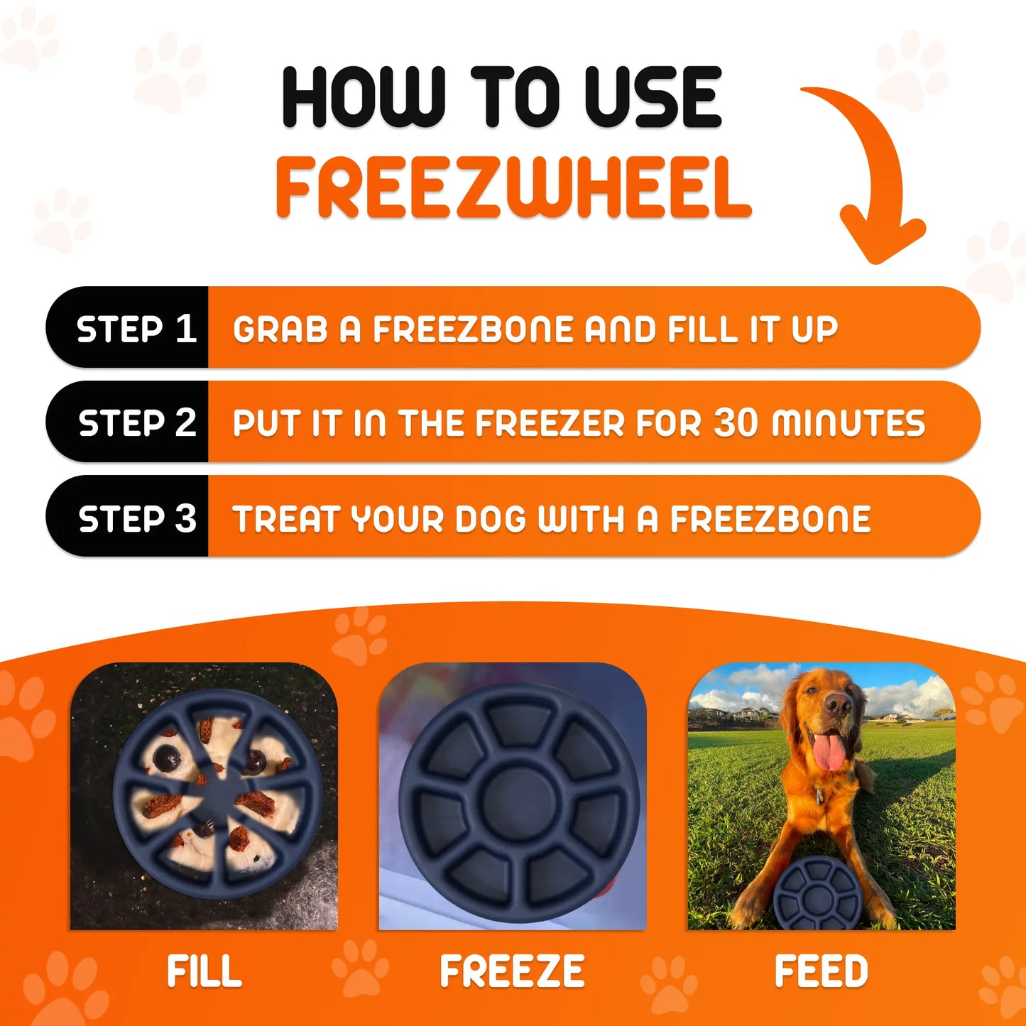FreezWheel - Durable Interactive Chew Freezbone