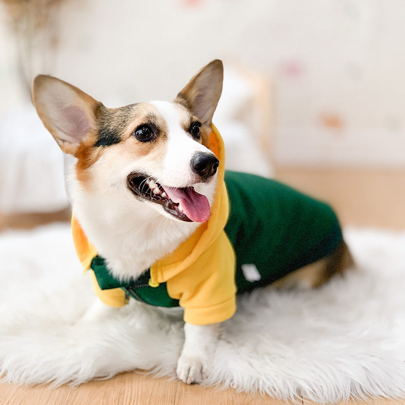 Corgi Dog Clothes Spring and Autumn Thin Small and Medium Dog Hair Shedding Prevention Pet Dog Clothes