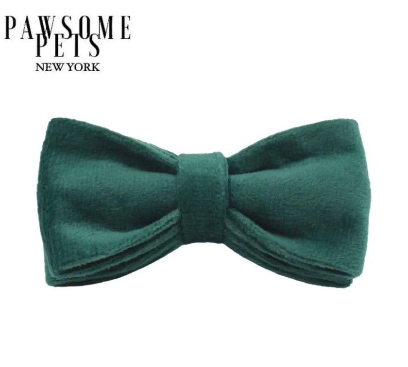 BOWTIE - VIRIDIAN