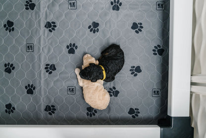 EZwhelp Reusable Quick Dry Pads - Heavy Absorbency EZwhelp