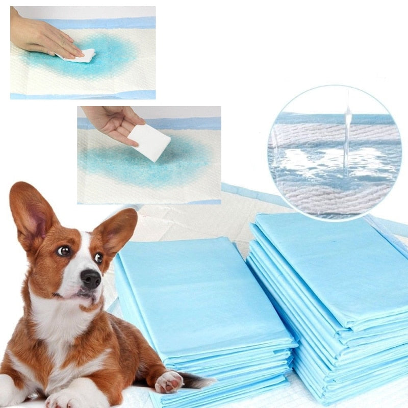 50PCS/100PCS Dog Pad Diapers For Dog Bed Nice Used For Dog Toliet Similar Dog Diaper For Home Used