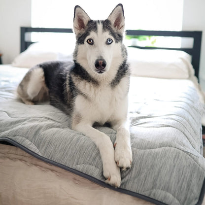 PupChill™ Cooling Waterproof Blanket - Arctic Grey Paw.com