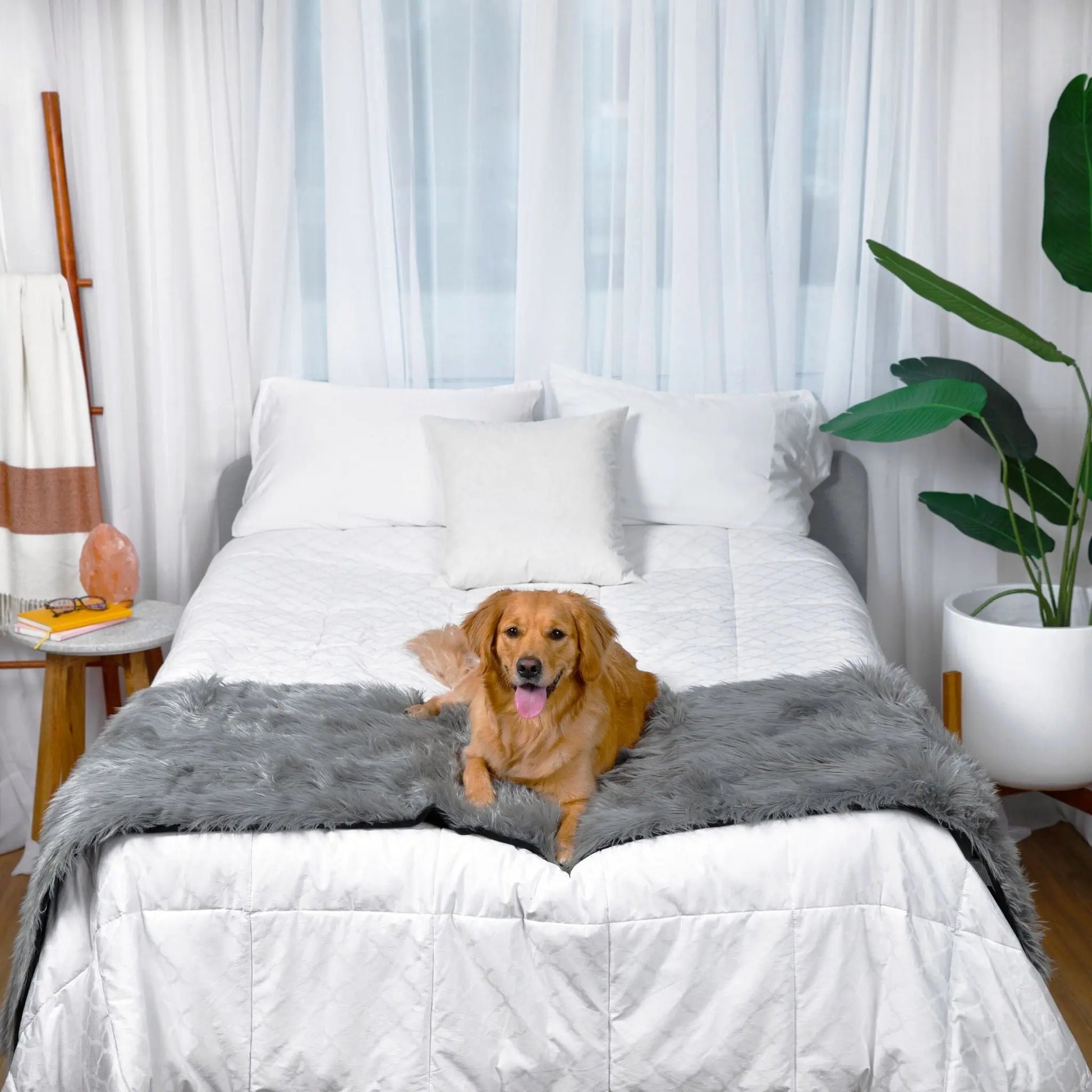 PupProtector™ Waterproof Bed Runner - Charcoal Grey Paw.com