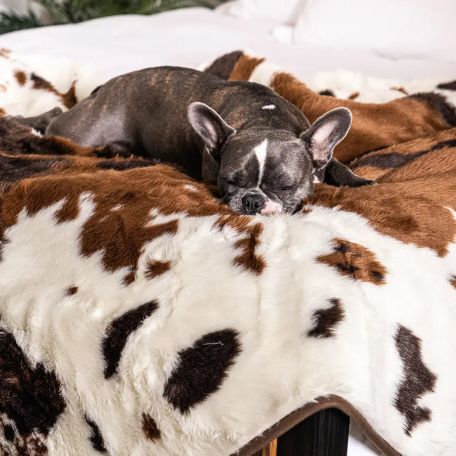 PupProtector™ Waterproof Throw Blanket - Brown Faux Cowhide Paw.com