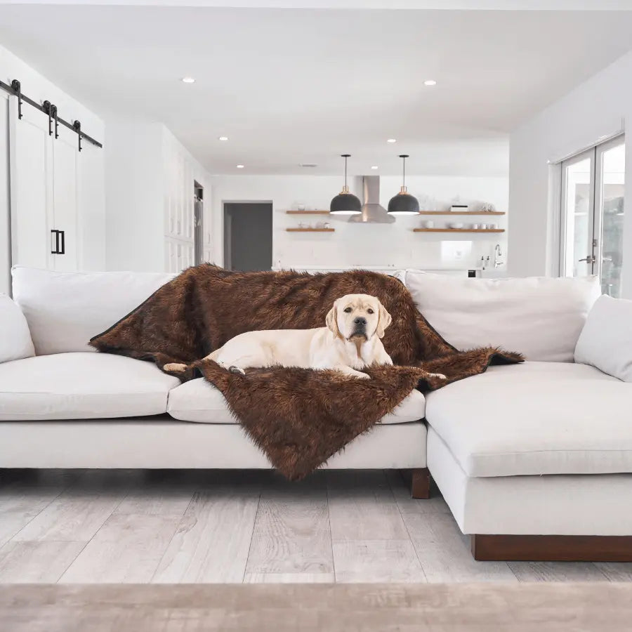 PupProtector™ Waterproof Throw Blanket - Brown Paw.com