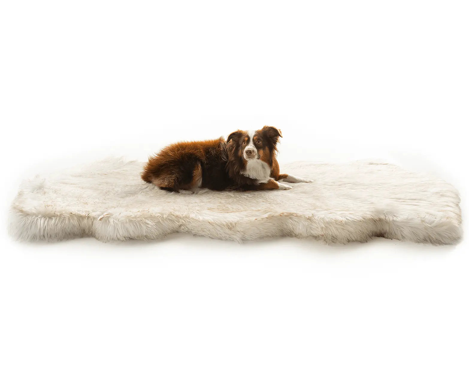 PupRug™ Runner Faux Fur Memory Foam Dog Bed - Curve White with Brown Accents Paw.com