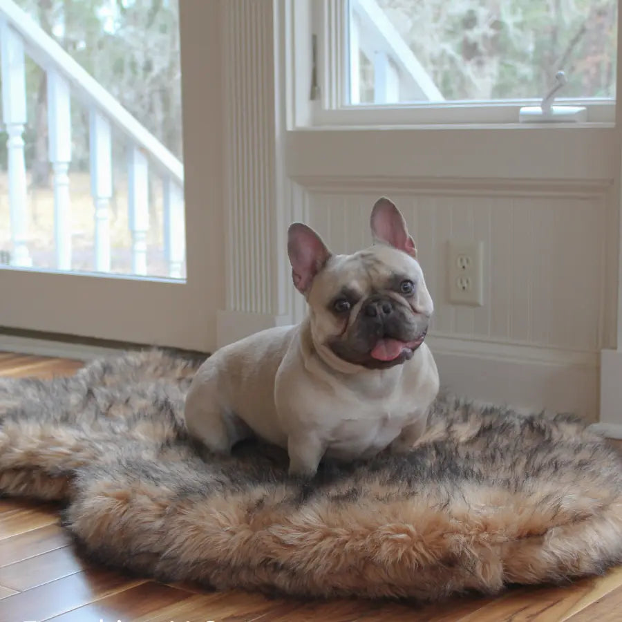 PupRug by Paw.com™ Faux Fur Orthopedic Dog Bed - Curve Sable Tan Paw.com