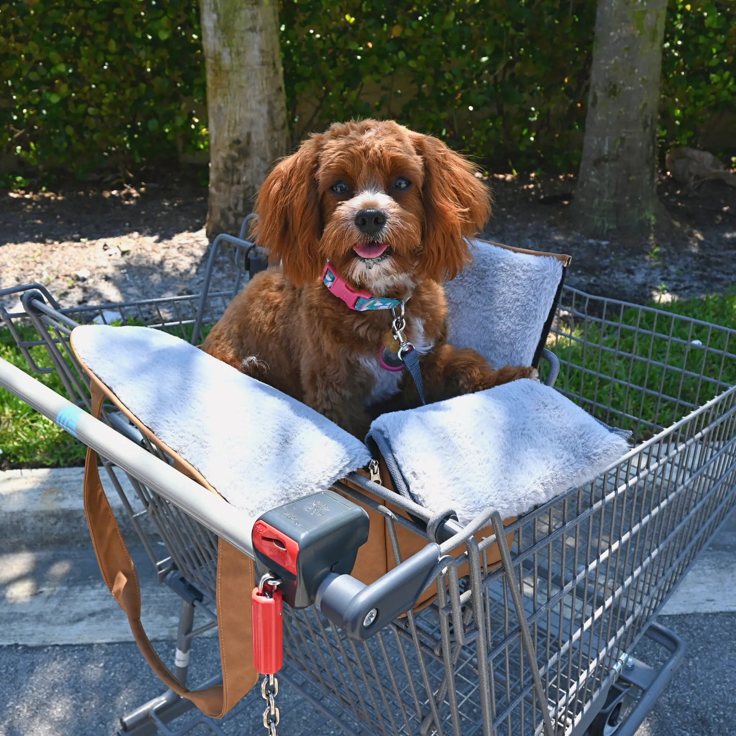 PupTote™ 3-in-1 Faux Leather Dog Carrier Bag - Black Paw.com