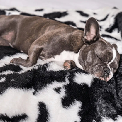 PupProtector™ Waterproof Throw Blanket - Black Faux Cowhide Paw.com