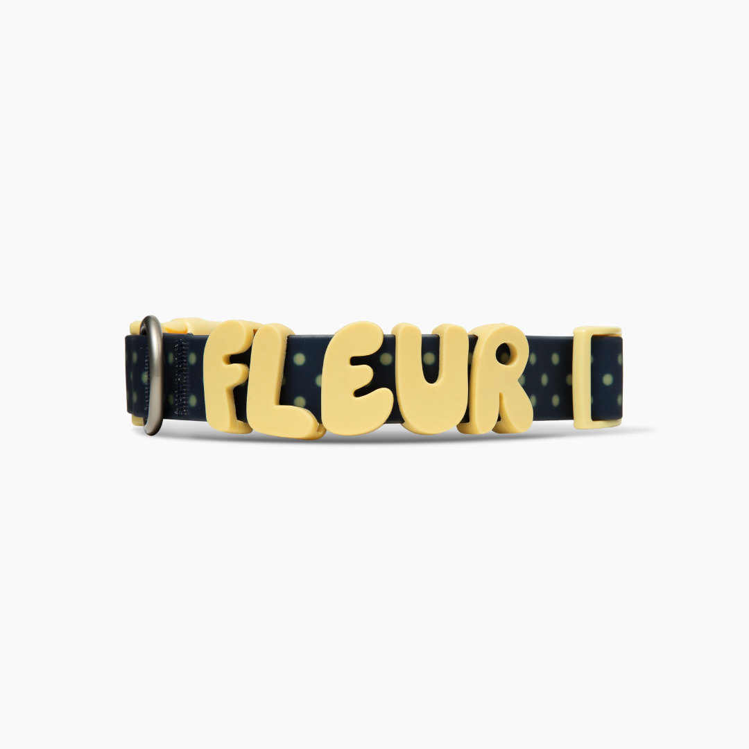 Waterproof Dog Collar