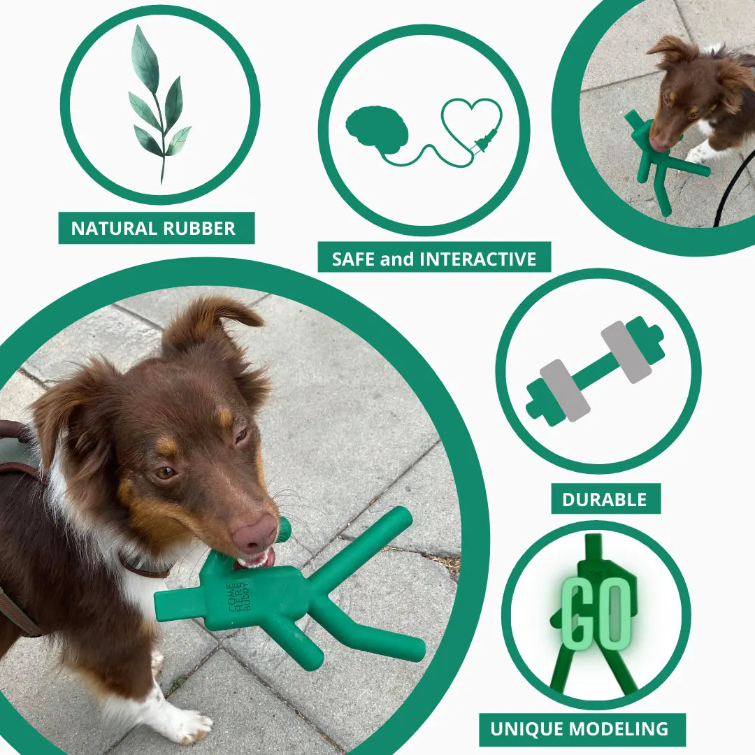 Dog Chew Toy - K9 Outdoors