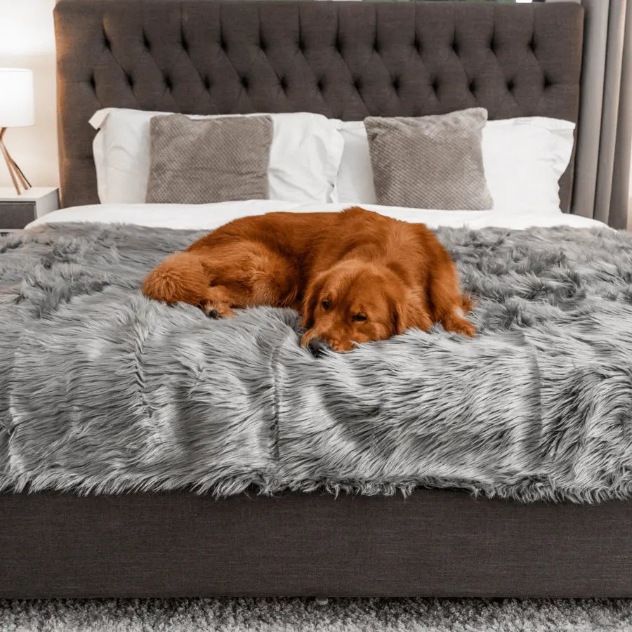 PupProtector™ Waterproof Throw Blanket - Charcoal Grey Paw.com