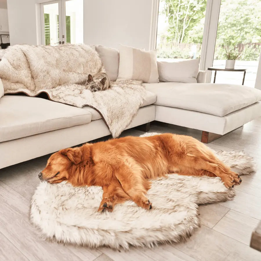 PupRug by Paw.com™ Faux Fur Orthopedic Dog Bed - Curve White with Brown Accents Paw.com