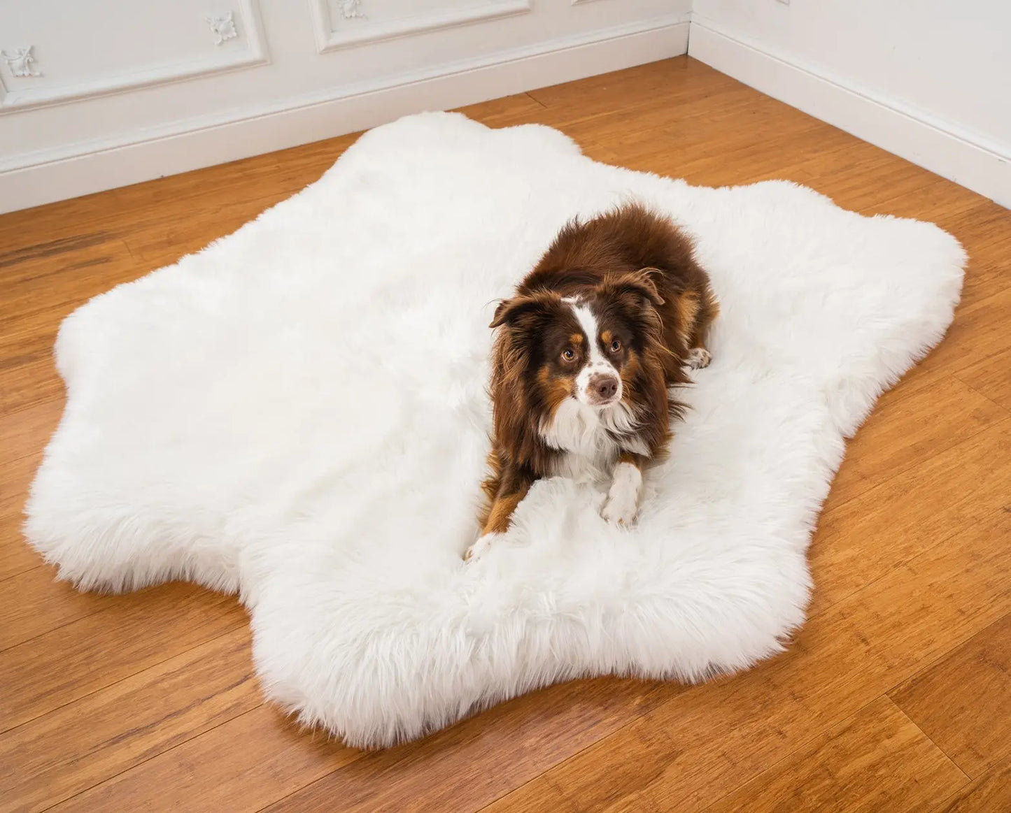 PupRug™ Animal Print Memory Foam Dog Bed - Polar Bear Faux Hide Paw.com