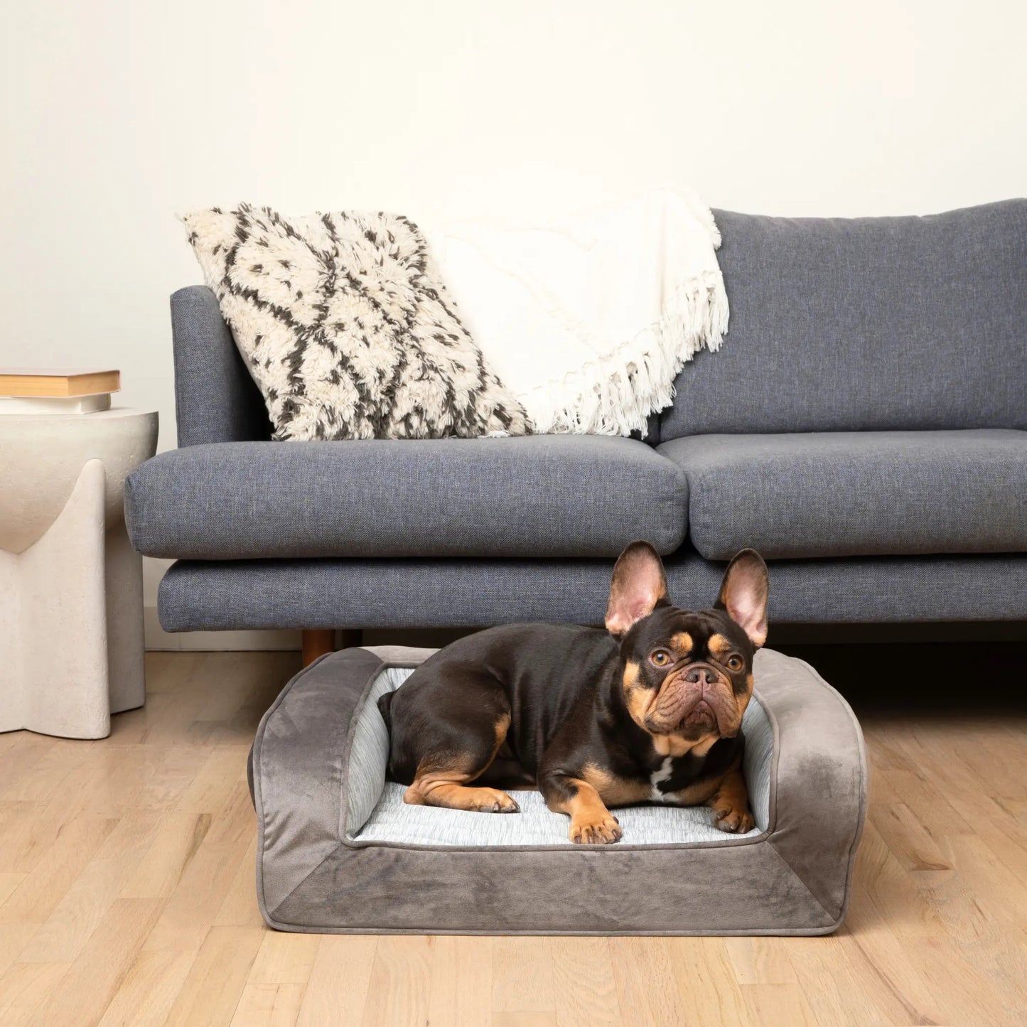 PupChill™ Cooling Bolster Dog Bed Paw.com