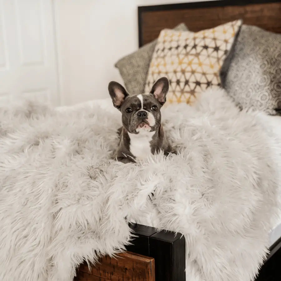 PupProtector™ Waterproof Throw Blanket - Grey Paw.com