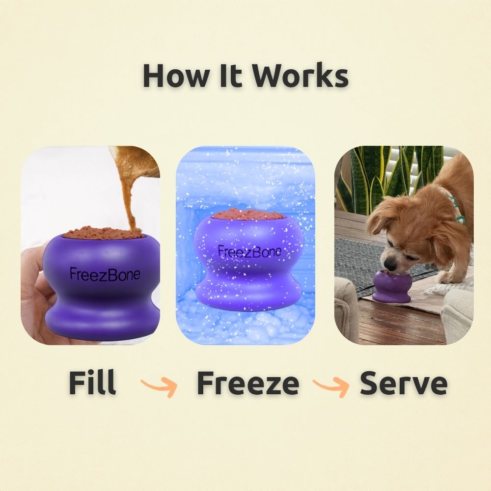 FreezBall Bundle  - Starter Pack