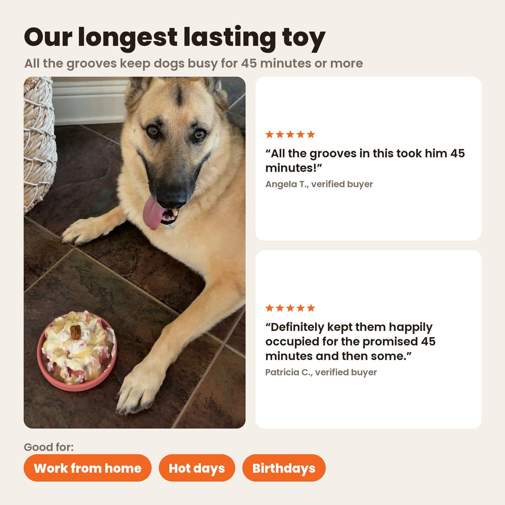 FreezLava Heavy-Duty Enrichment Chew