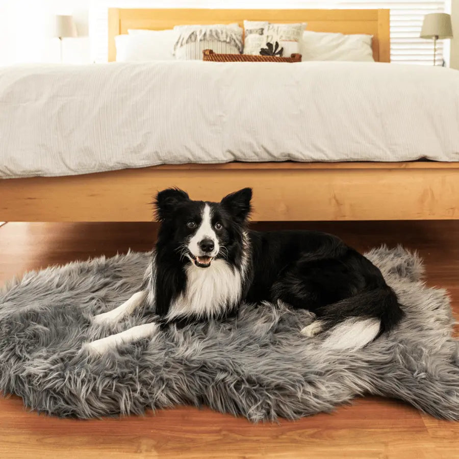 PupRug by Paw.com™ Faux Fur Orthopedic Dog Bed - Curve Charcoal Grey Paw.com