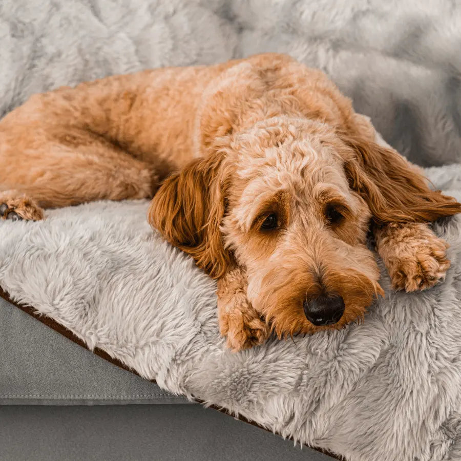 PupProtector™ Summer Short Fur Waterproof Throw Blanket - Grey Paw.com