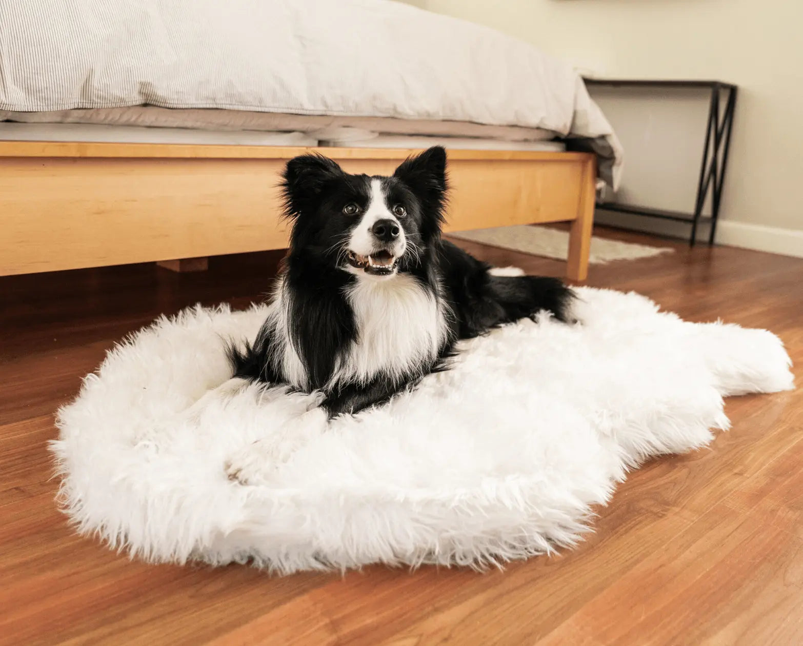 PupRug by Paw.com™ Faux Fur Orthopedic Dog Bed - Curve Polar White Paw.com
