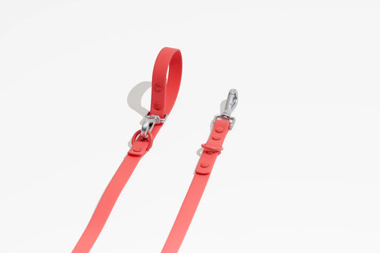 Luxe Leash - Poppy Pawmigo