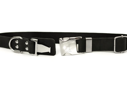 Modern Style Quick-Release Midnight Black Leather Dog Collar Euro-Dog Collars and Leads