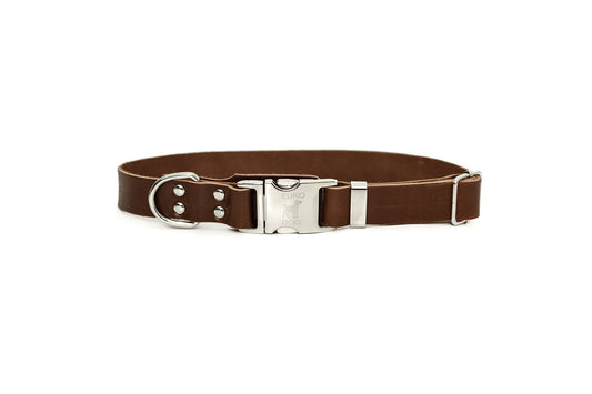 Modern Style Quick-Release Chocolate Leather Dog Collar Euro-Dog Collars and Leads