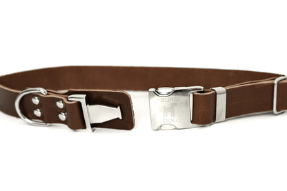 Modern Style Quick-Release Chocolate Leather Dog Collar Euro-Dog Collars and Leads