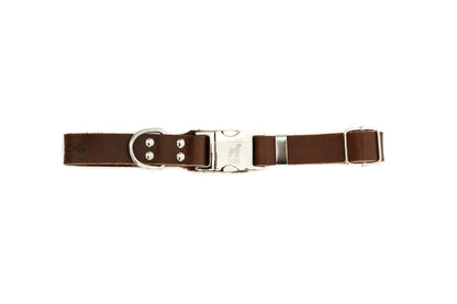 Modern Style Quick-Release Chocolate Leather Dog Collar Euro-Dog Collars and Leads