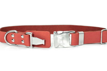 Modern Style Quick-Release Coral Reef Leather Dog Collar Euro-Dog Collars and Leads