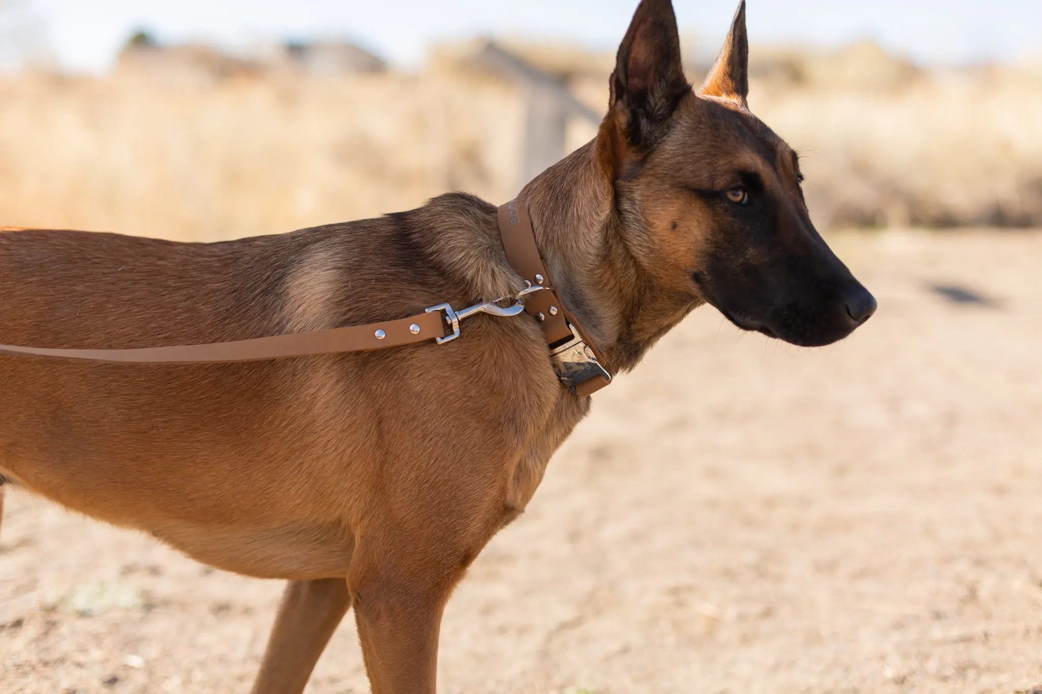 Modern Style Khaki Leather Leash Euro-Dog Collars and Leads