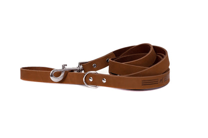 Modern Style Earth Brown Leather Leash Euro-Dog Collars and Leads