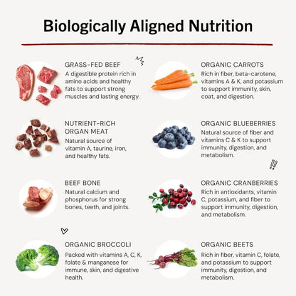 Freeze-Dried Raw Dinner Patties - Beef Recipe - High Protein Grain-Free Puppy & Dog Food - Perfect for Picky Eaters - 14 Oz