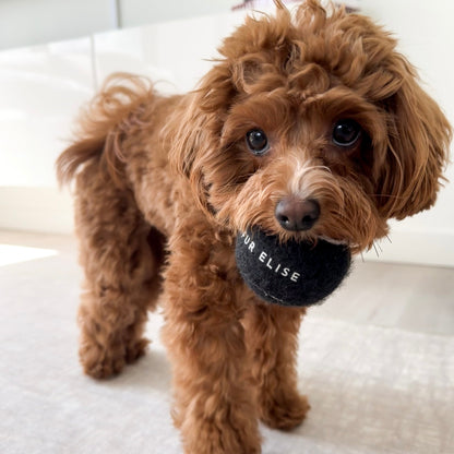 Classic Tennis Ball Set of 5 - Noir Elise Galleria