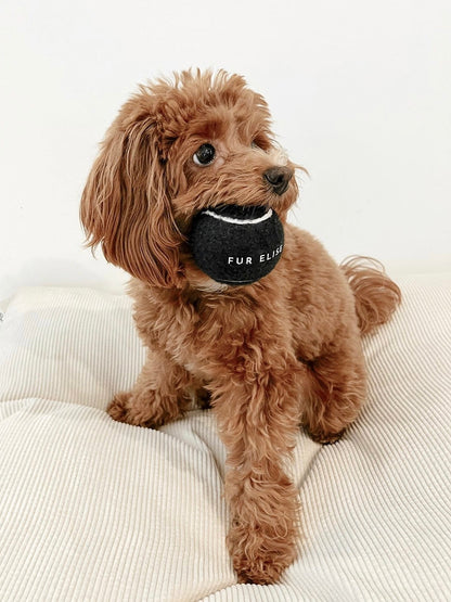 Classic Tennis Ball Set of 5 - Noir Elise Galleria