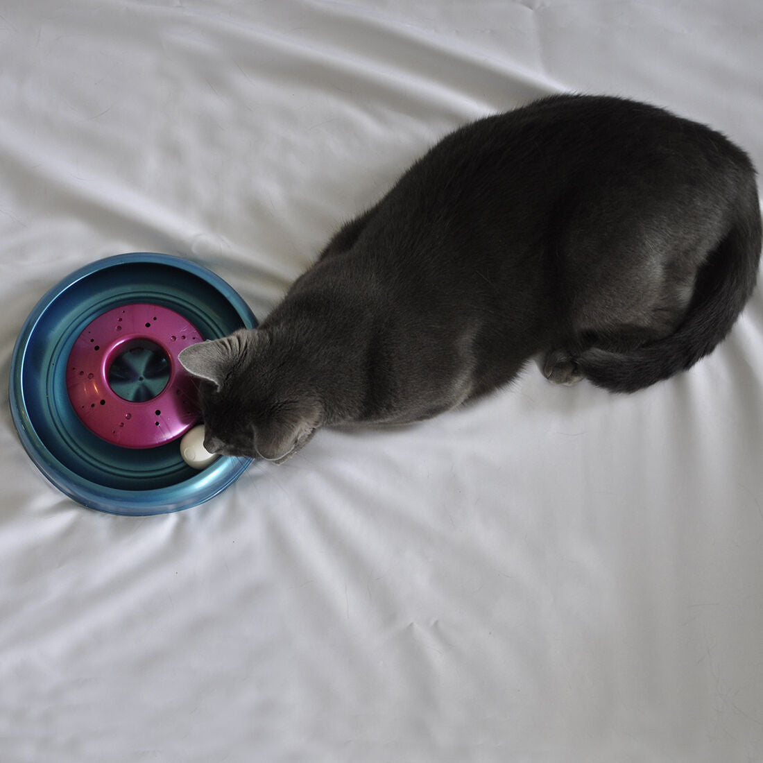 Bergan Cyclone Catnip Cat Toy Aqua, Mulberry, 1ea