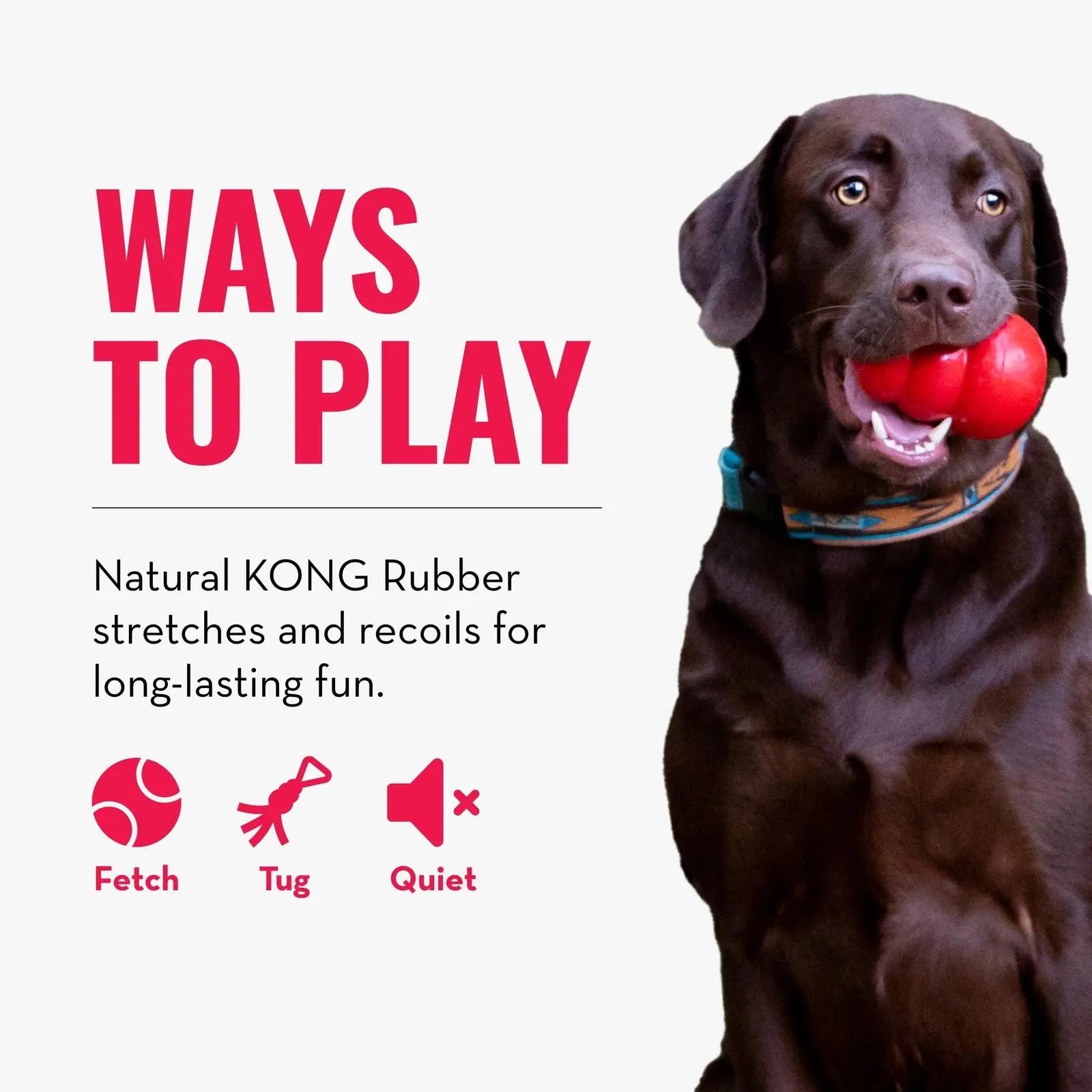 KONG - Tug - Durable Stretchy Rubber, Tug of War Dog Toy - for Medium Dogs