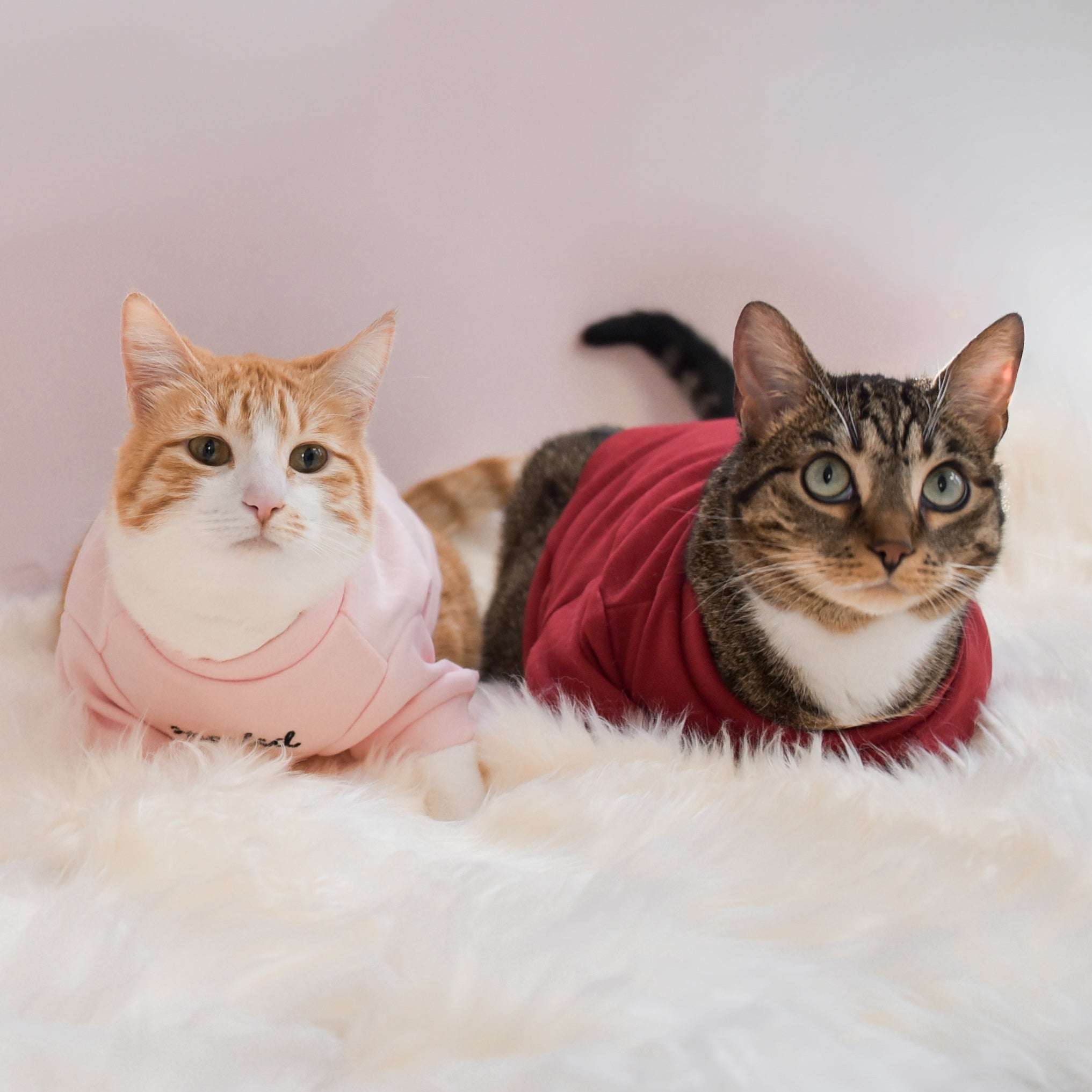 Fur Elise Spoiled Mock Neck Shirt - Lucky