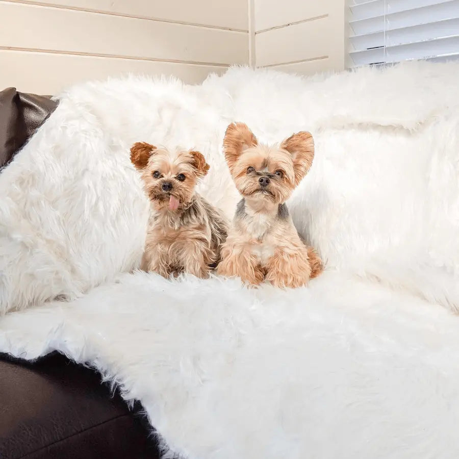 PupProtector™ Waterproof Throw Blanket - Polar White Paw.com