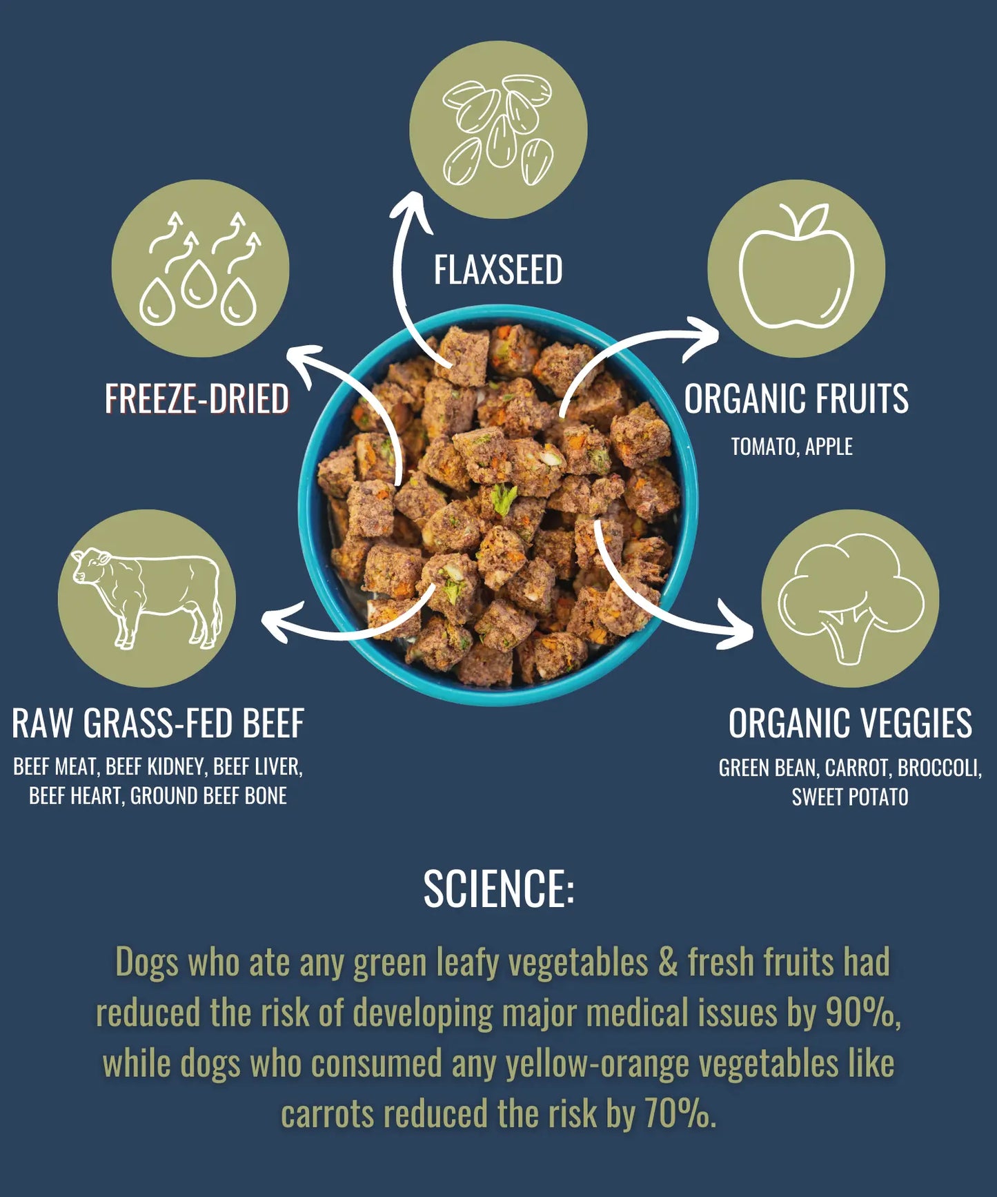 PREMIUM RAW FREEZE DRIED DOG FOOD BEEF Alpha Pak